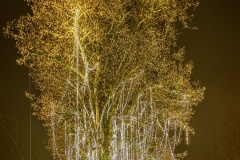 20191230_Weihnachtsbaum_Luetisburg