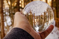 20210320_Forest_Lensball