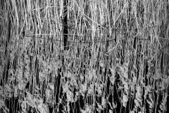20210325_Aegerisee_Pattern