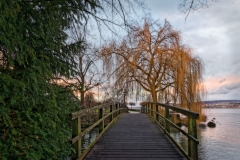 20201228_6D_IMG_0137_DxO_1