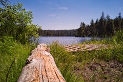 20190630_Saignelégier_Etang_de_la_Gruère