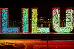20200116_LILU_Schriftzug 20200116_LILU_Schriftzug