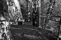 Baden, Path In Morning Light 2019 Baden, Path In Morning Light 2019