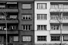 20210204_Same_But_Different 20210204_Same_But_Different