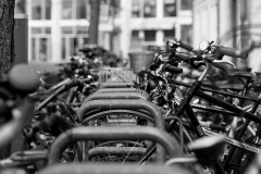 IMG_9537_DxO_2 IMG_9537_DxO_2