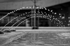 IMG_9650_DxO_2 IMG_9650_DxO_2