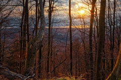 20200409_Hausen_Am_Albis_Sihlwald_Sonnenaufgang