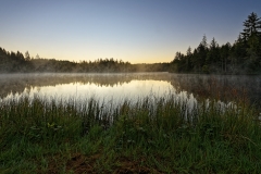 20200730_Saignelegier_Etang_de_la_Gruyere_Sunrise 20200730_Saignelegier_Etang_de_la_Gruyere_Sunrise