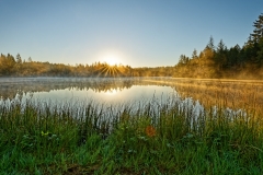 20200730_Saignelegier_Etang_de_la_Gruere_Sunrise_2 20200730_Saignelegier_Etang_de_la_Gruere_Sunrise_2
