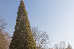 20170310_Wil_1