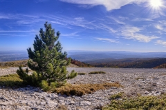 20170710_Signal_de_Lure_Panorama_16_9_Crop 20170710_Signal_de_Lure_Panorama_16_9_Crop