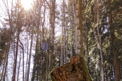 20180419_Huettenberg_Wald