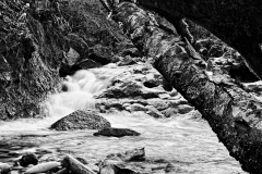 20170325_Eichbach_2_BW