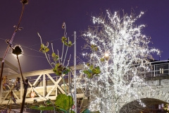 20171206_Zuerich_Weihnachten