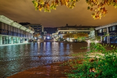 20181108_Zuerich_Uni_Irchel_3 20181108_Zuerich_Uni_Irchel_3